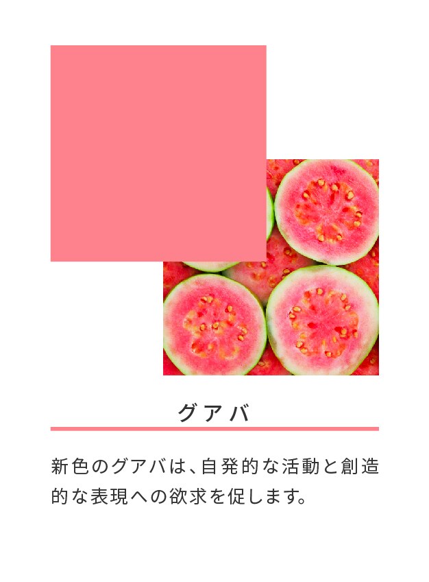 グアバ
