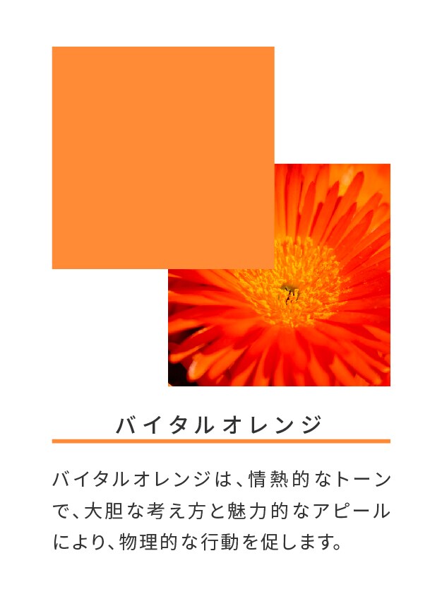 バイタルオレンジ
