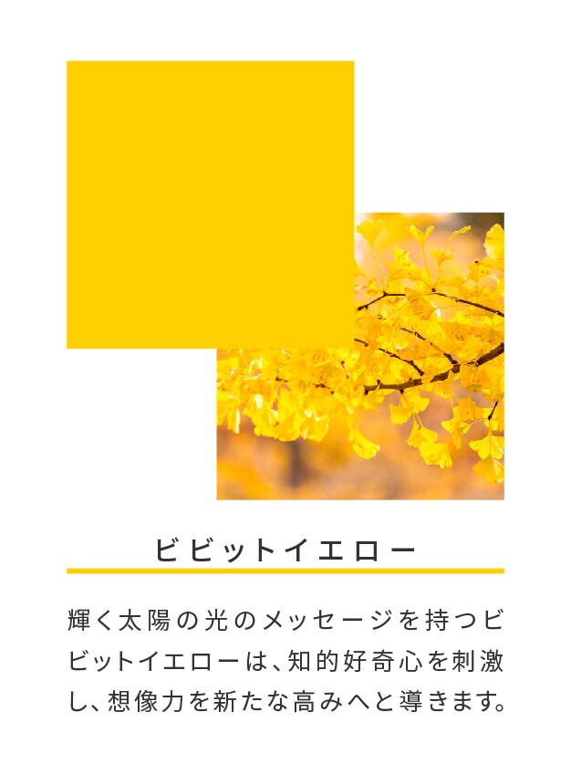 ビビットイエロー

