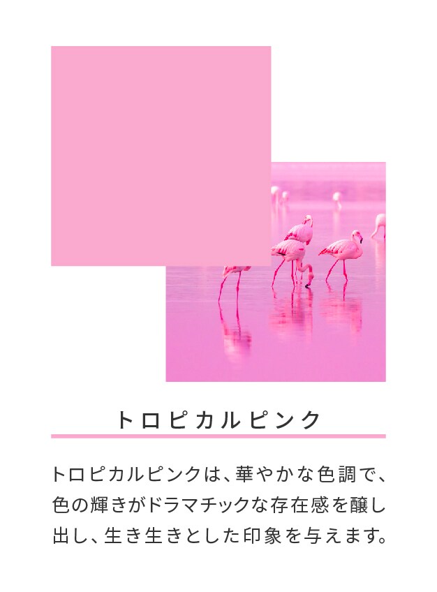 トロピカルピンク

